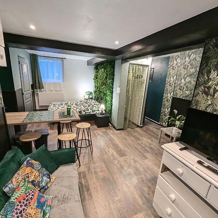 Appartement Verdoyant Au Bord Du Lac Leman Entre Evian Et Thonon Dans Une Villa アンフィオン・レ・バン エクステリア 写真