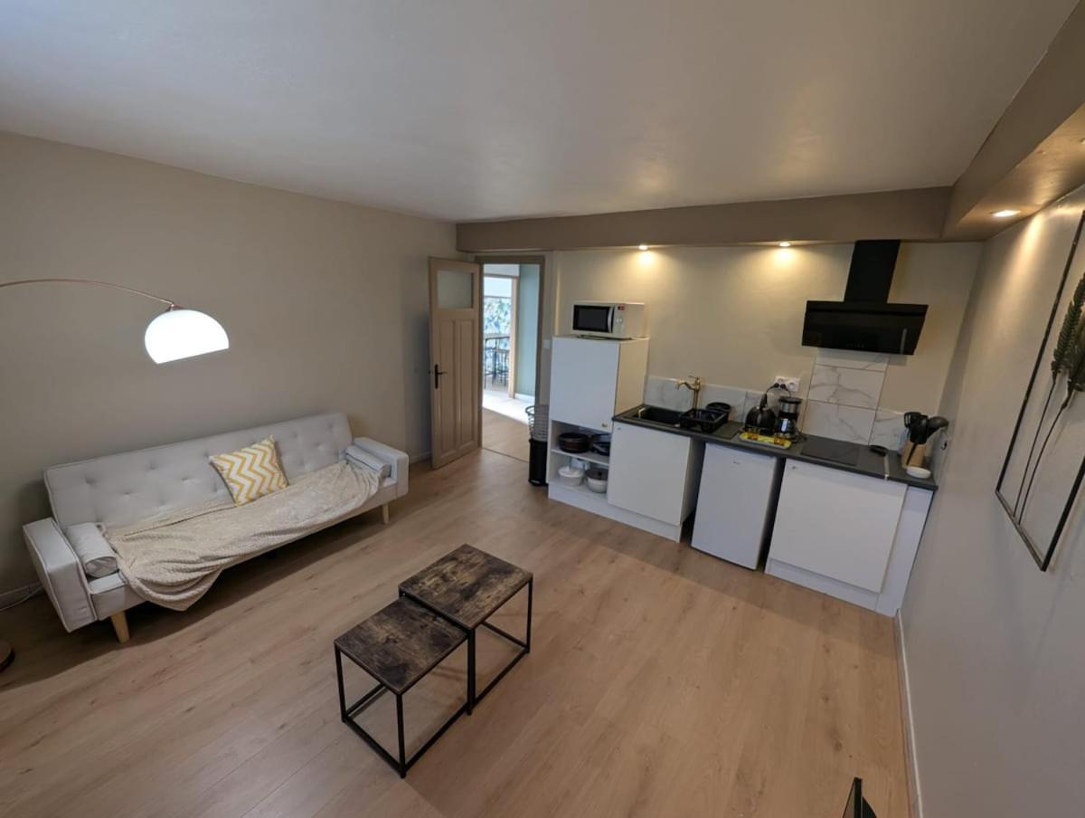 Appartement Verdoyant Au Bord Du Lac Leman Entre Evian Et Thonon Dans Une Villa アンフィオン・レ・バン エクステリア 写真