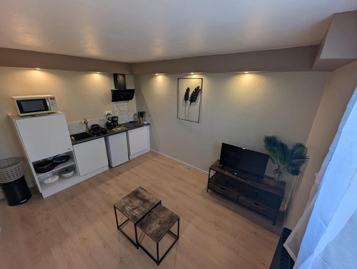 Appartement Verdoyant Au Bord Du Lac Leman Entre Evian Et Thonon Dans Une Villa アンフィオン・レ・バン エクステリア 写真